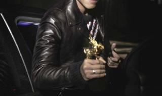 黄渤主持49届金马奖 黄渤主持49届金马奖