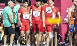 苏炳添世界排名消失